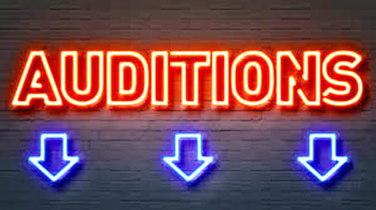 fame princess miss north india's kanpur 7 audition