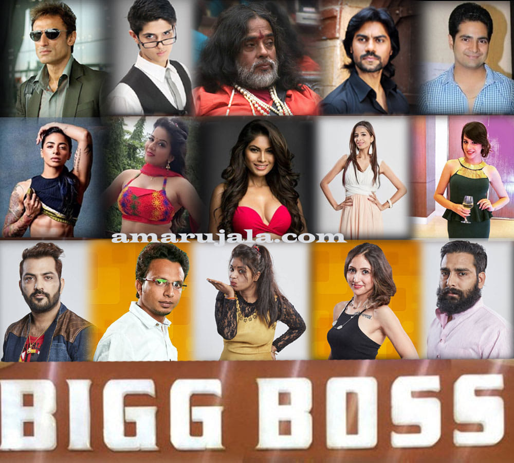 big boss season 10 house mates