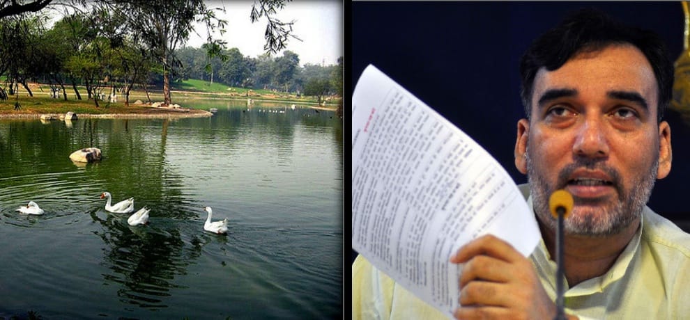 bird flu h1n1 spreading around the city shanti forest is under dangerous