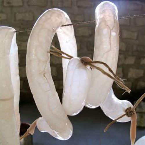 most Weirdest Birth Control Methods from history