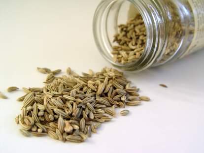 amazing health benefits of fennel seeds tea and water