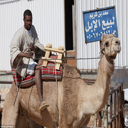 United Arab Emirates tribe where girls are married at 6