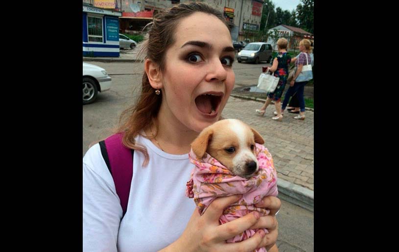 Russian girl arrested for harassing dogs and cats 