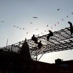  Surgical Strike on the theme of Diwali in jaipur