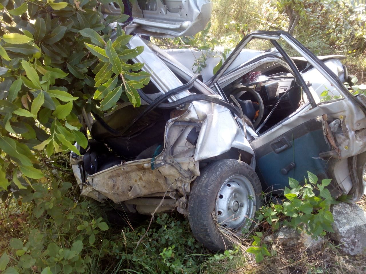car fell into gorge, three died