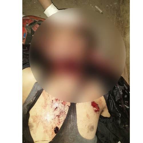 Himachal Pradesh: One killed, 3 hurt in bear attack at Kullu