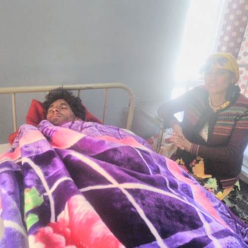 Himachal Pradesh: One killed, 3 hurt in bear attack at Kullu