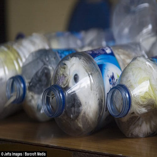 smuggling cockatoos in water bottles