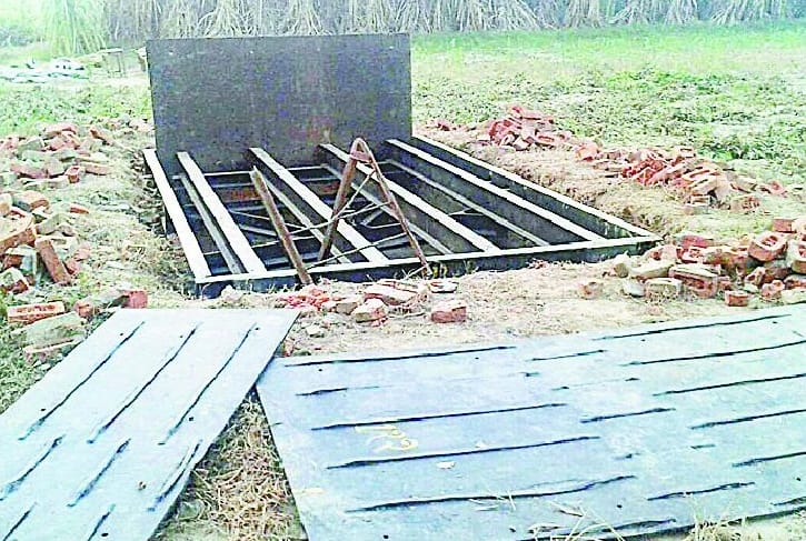 Cane purchasing center fork uprooted