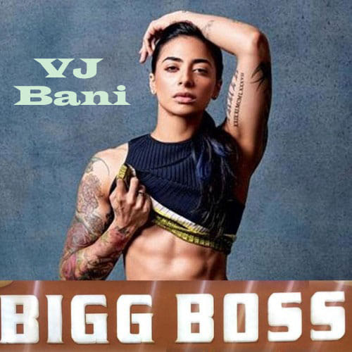 big boss season 10 house mates