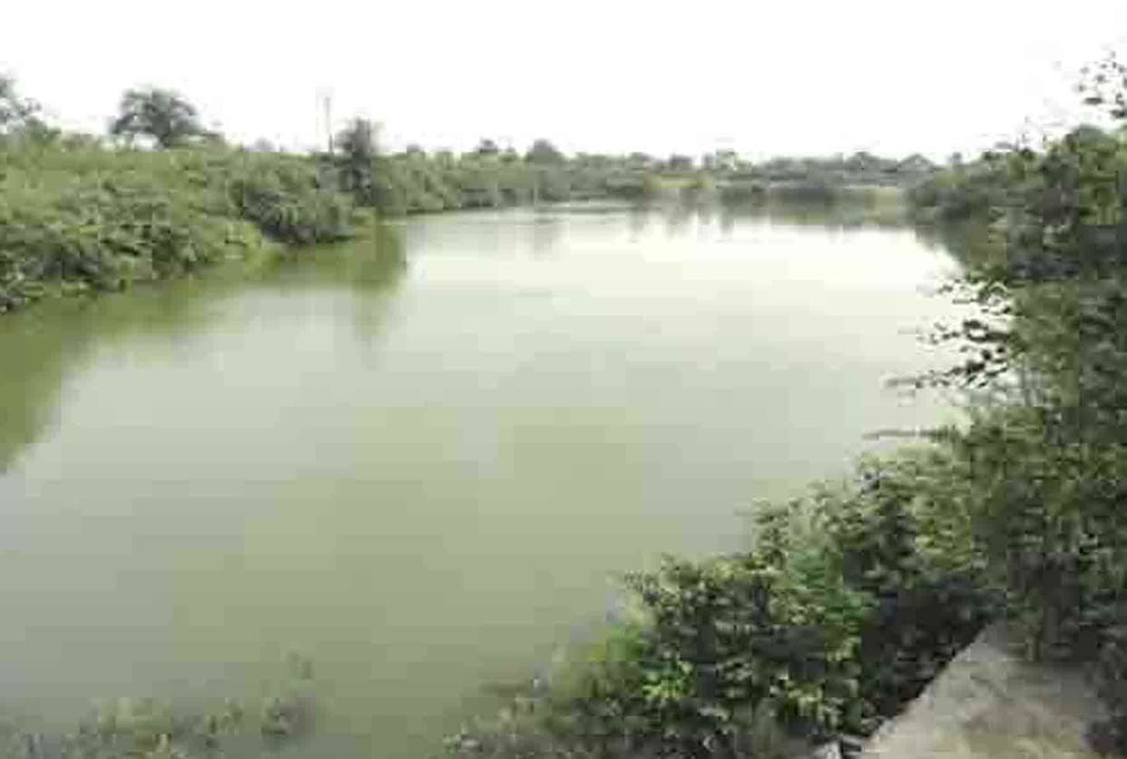 Jasmine will be converted into a tourist spot forest
