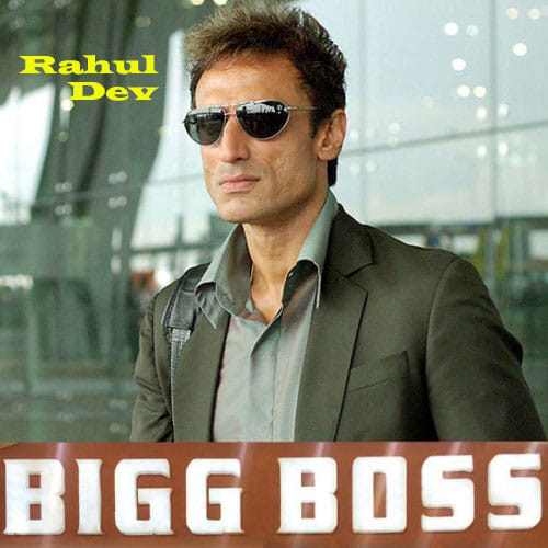big boss season 10 house mates