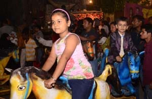 Sweet memories, fun, rock, farewell carnival