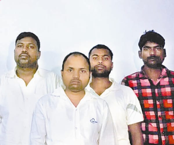 stf arrested apple truck predators 