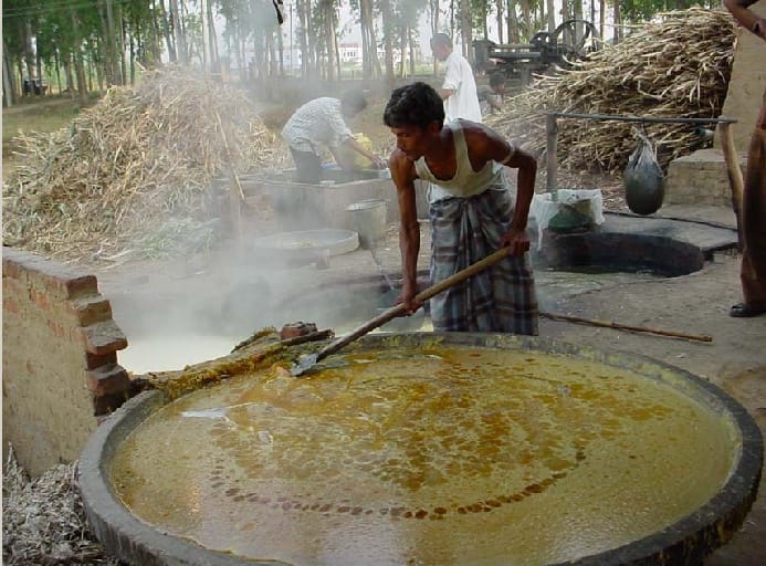 Molasses industry crisis