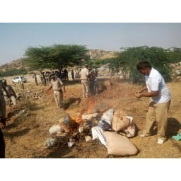 drug,police,narnaul,case,damage