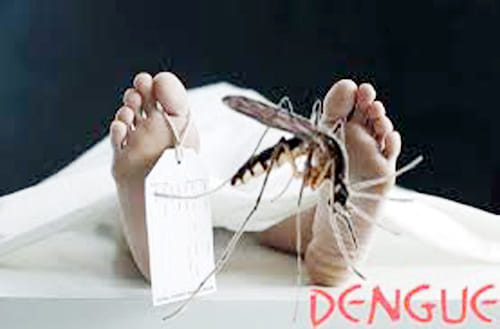 lady killed by dengue