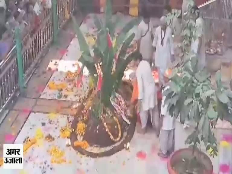 द्वारकाधीश मंदिर मेें गोवर्धन पूजा 