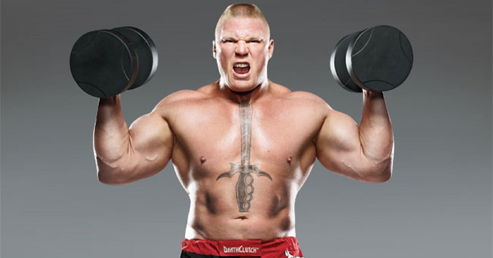What Does Tattoos On Brock Lesnar Body Mean