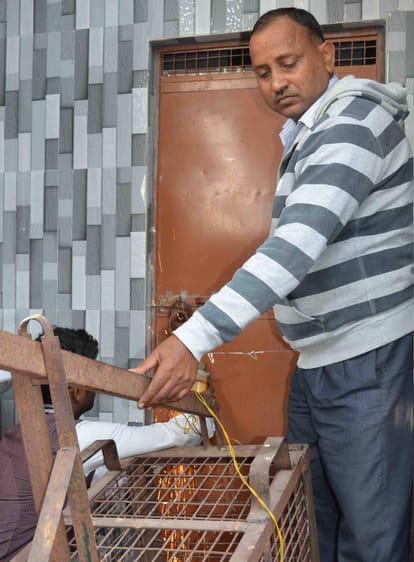 leopard entered in temple.
