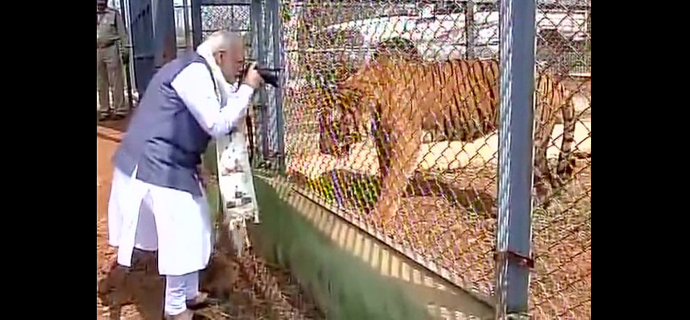 PM Narendra Modi in the Nandan Van Jungle Safari