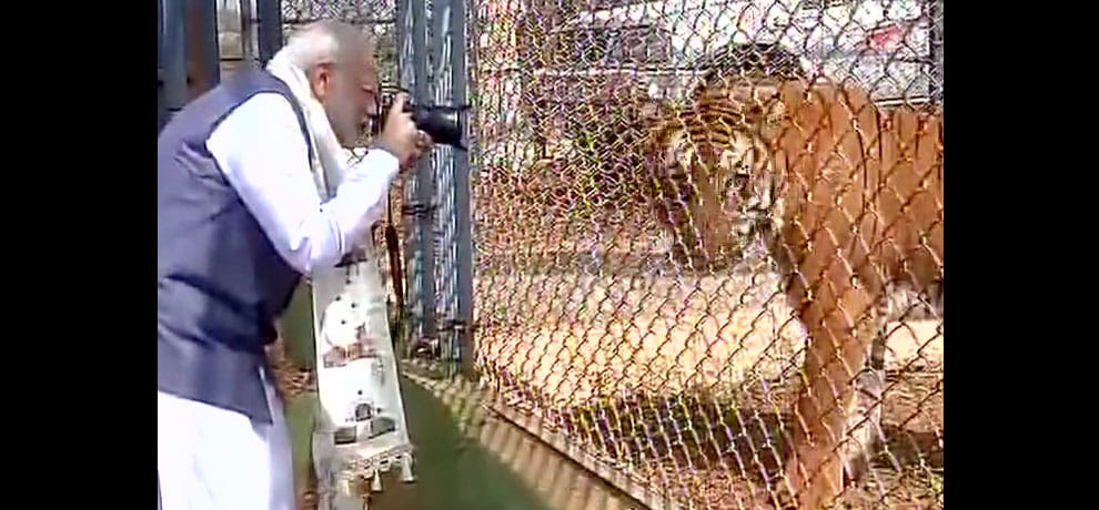 PM Narendra Modi in the Nandan Van Jungle Safari