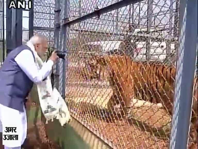 पीएम मोदी 