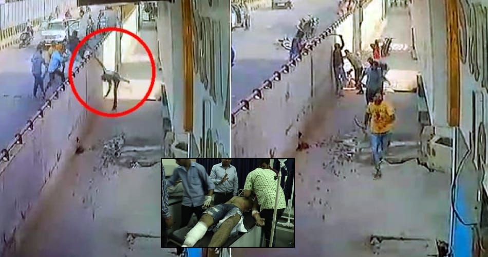 thrown down from the bridge and then attacked with sword, no one stopped to help