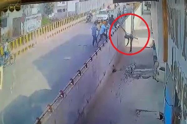 thrown down from the bridge and then attacked with sword, no one stopped to help