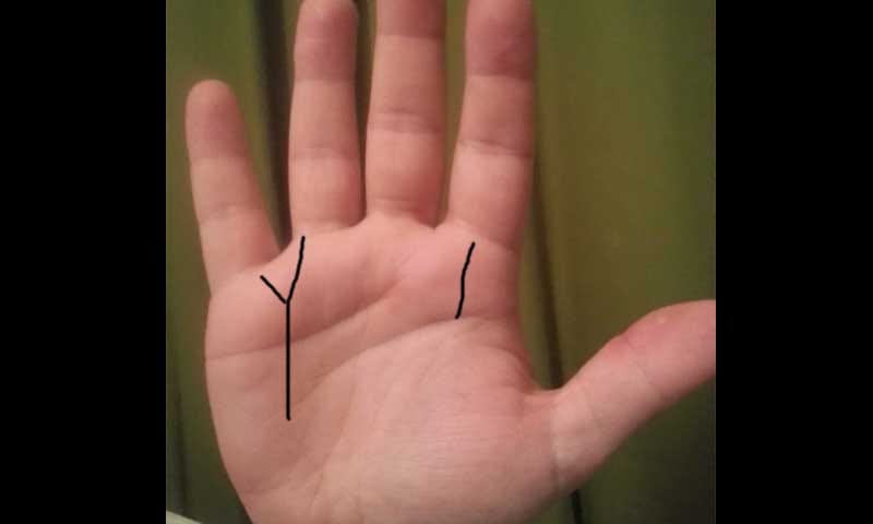 money line in your hand