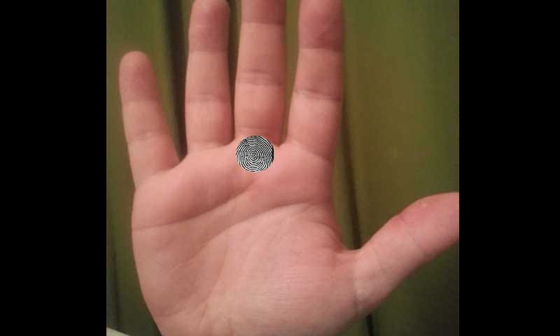 money line in your hand