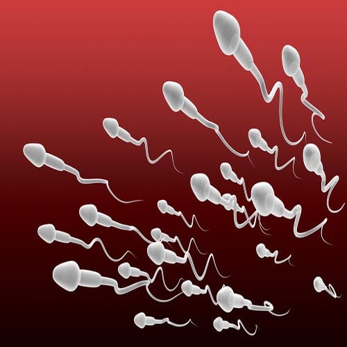 facts You Didn't Know About Sperm