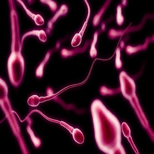 facts You Didn't Know About Sperm