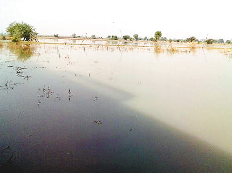 Overflow canal, 200 bigha crops submerged