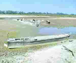 River dry, crisis on aquatic organisms