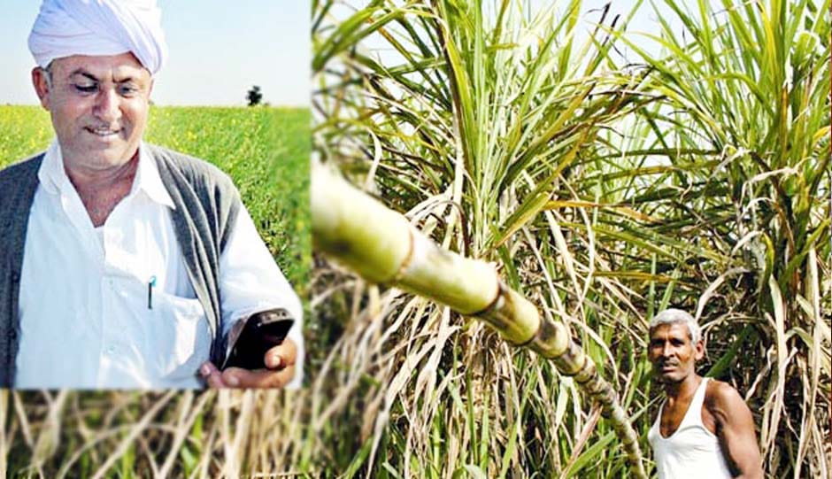 farmers will get from sugar cane speculative SMS info