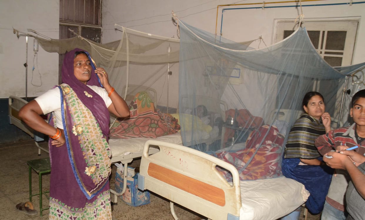 Dengue knock in Kumaon, eight patients found