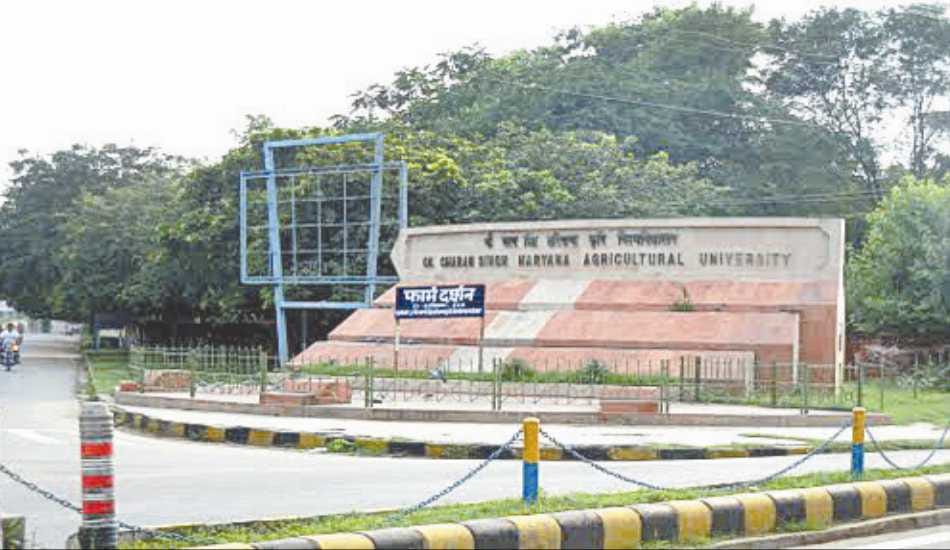 hau, hau hisar, 77 vacancies in hau, hisar 