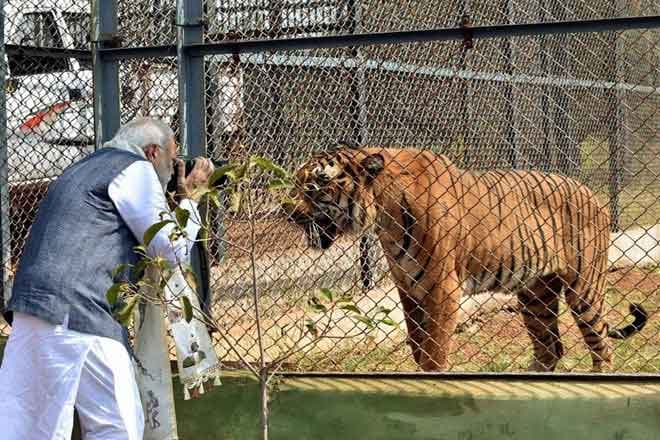 Pics: World leaders and their hobbies