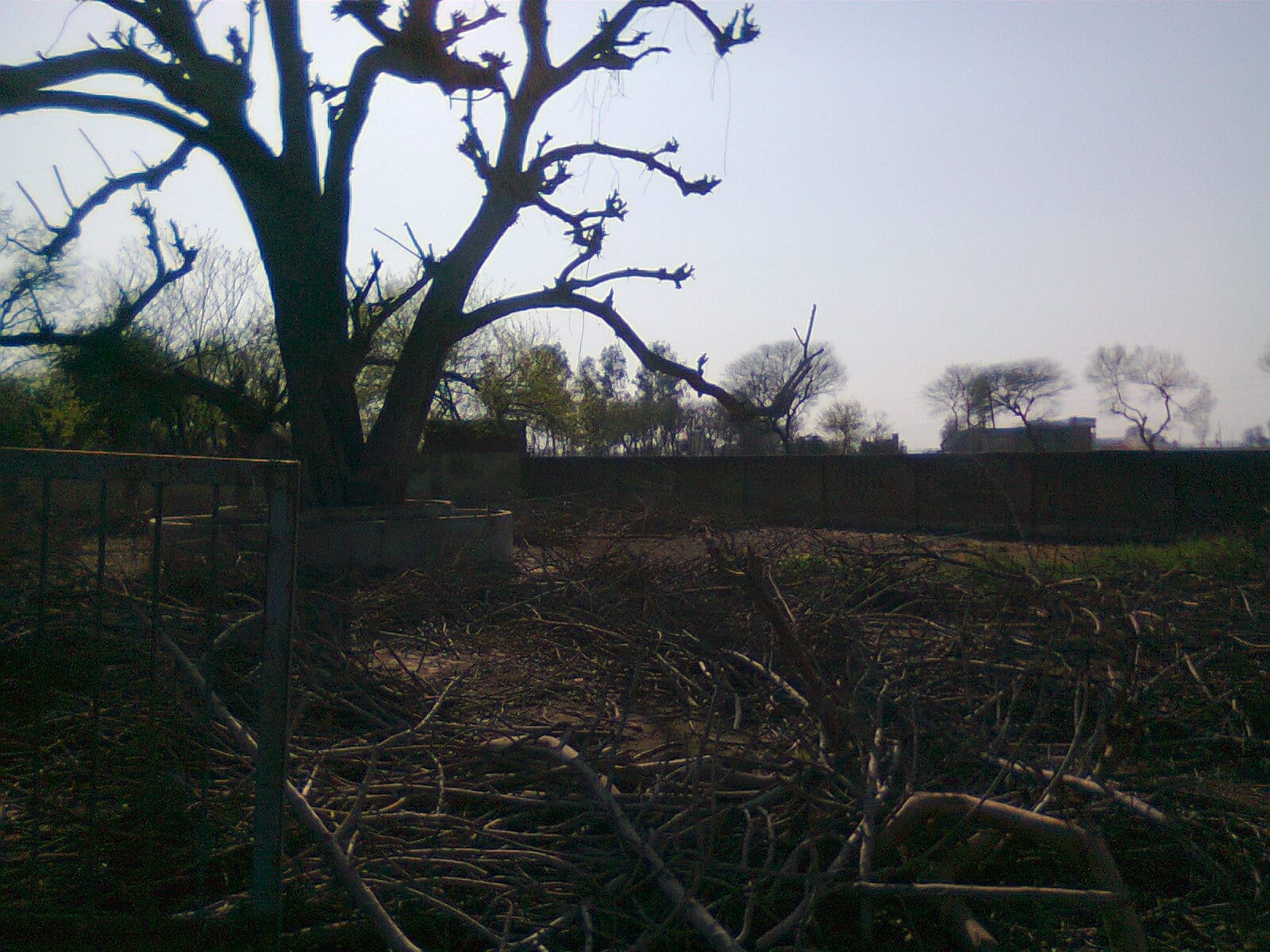 dark shadow in village from four months