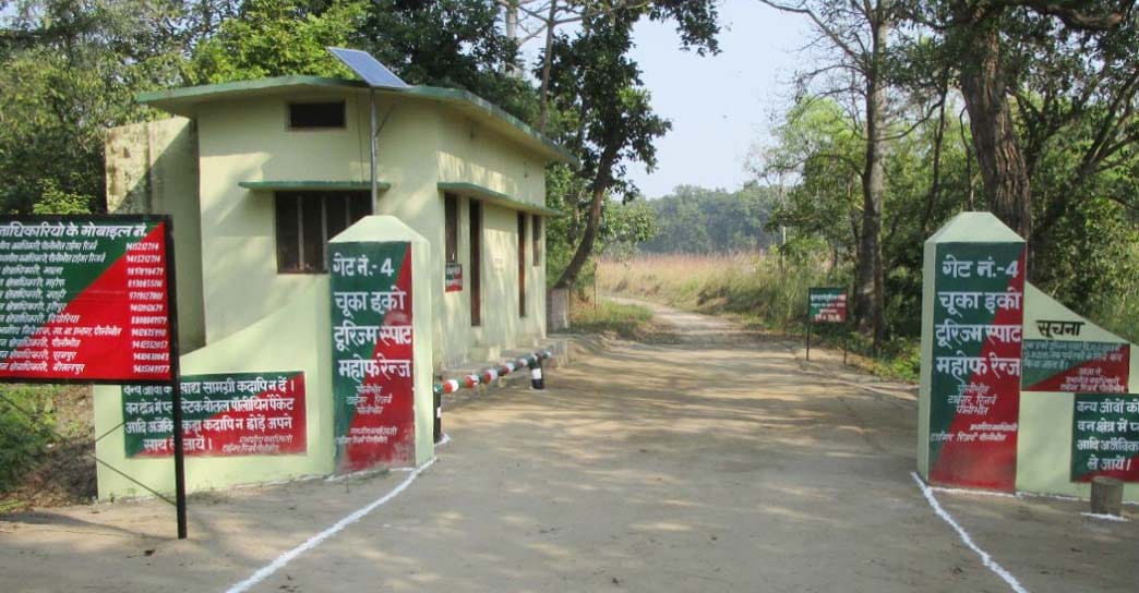 Dudhwa Tiger Reserve will guide visitors guide 