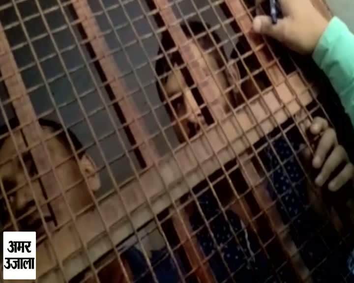 अदालत से हत्या का आरोपी फरार