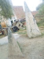 Inappreciation of martyrs, memorial place on garbage, karnal