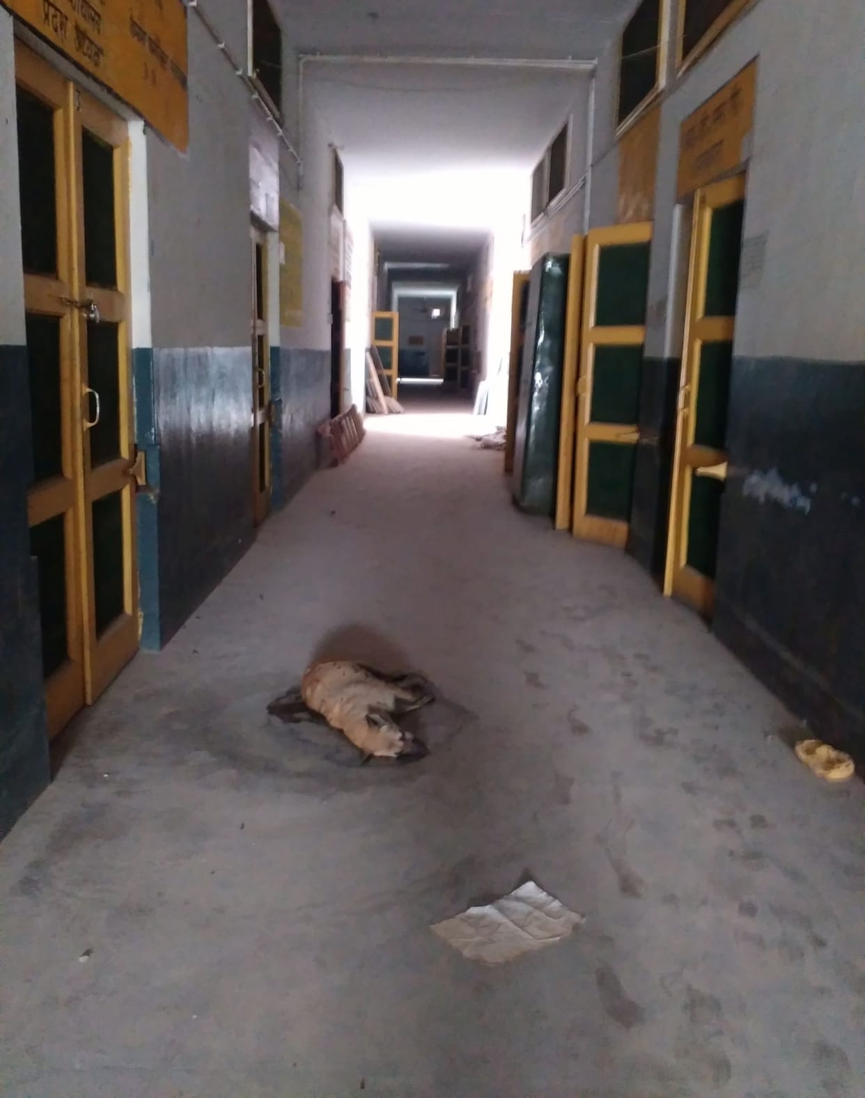 district hospital disease home 