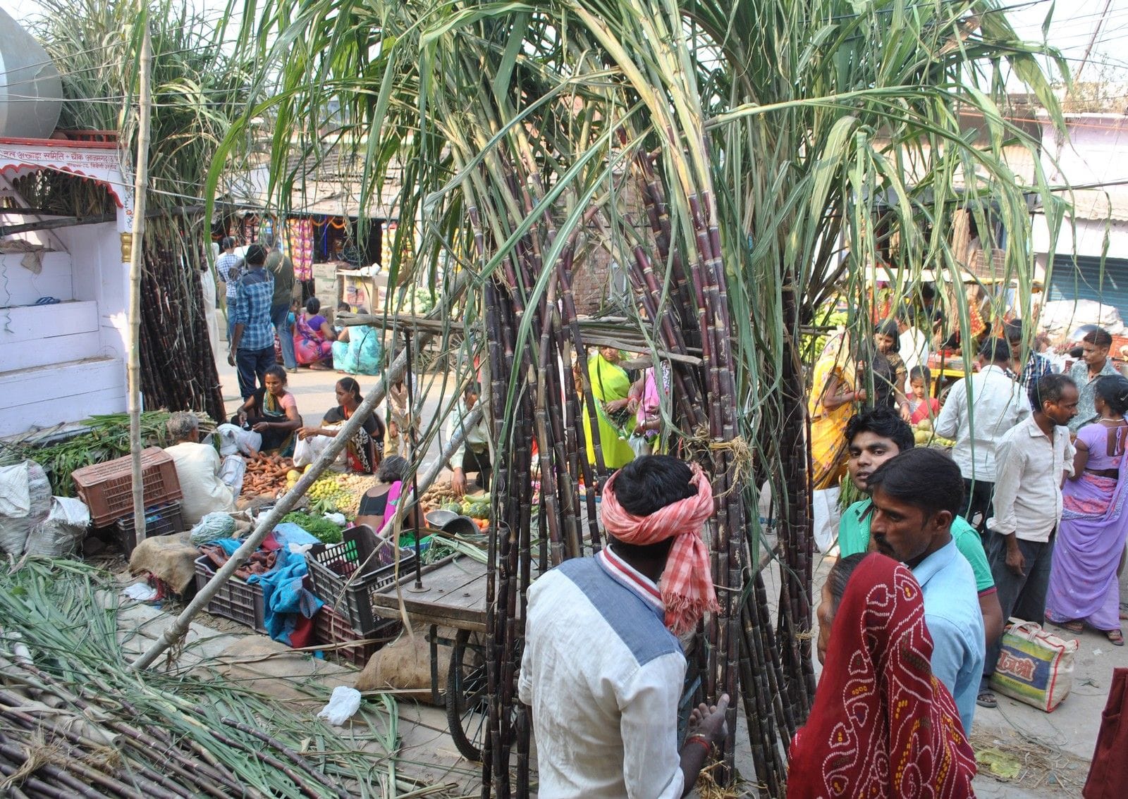 Chhath fasting for longevity of Soldiers