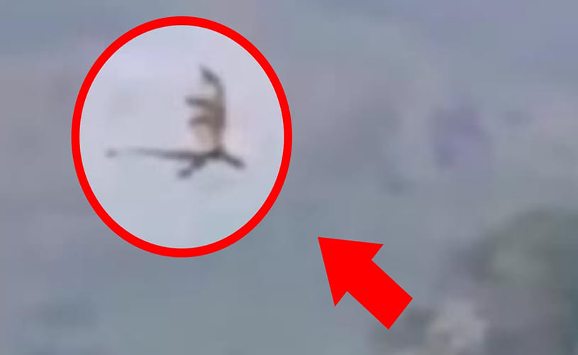  dragon caught on camera in China