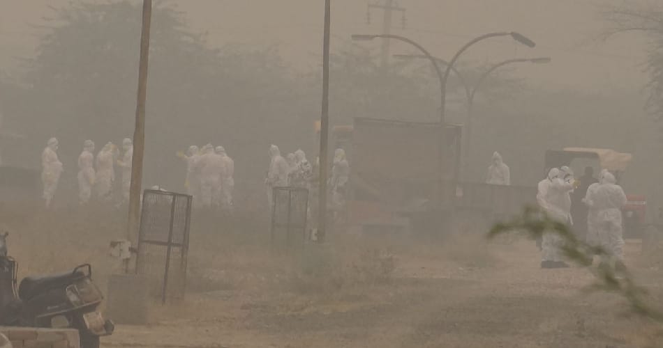 ducks killing operation in blue bird lake of hisar in haryana due to bird flu high alert