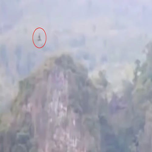  dragon caught on camera in China