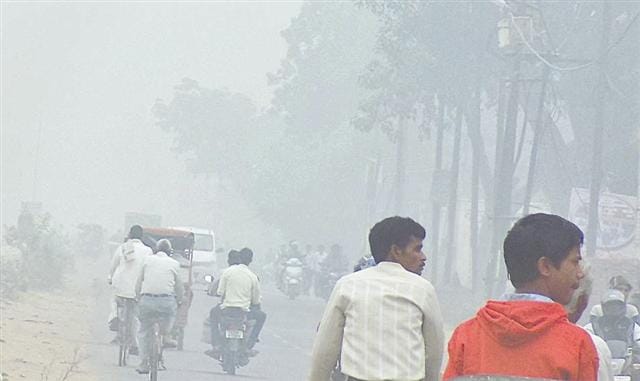 Diwali fireworks wrap grim disease