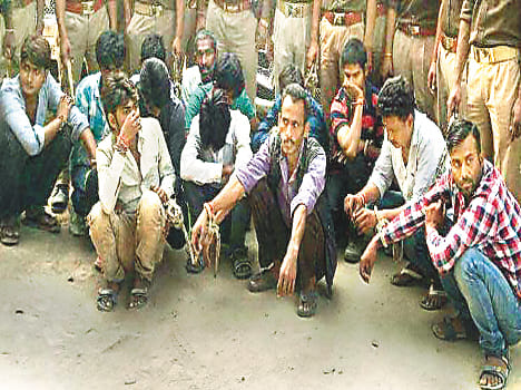 The crackdown on farm crops, tractor broke